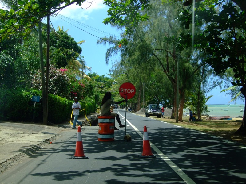 Mauritius 2010 - 0268 